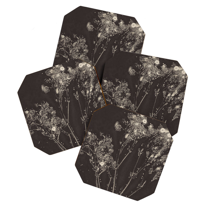 Floral Whispers Coaster Gallery Image 1
