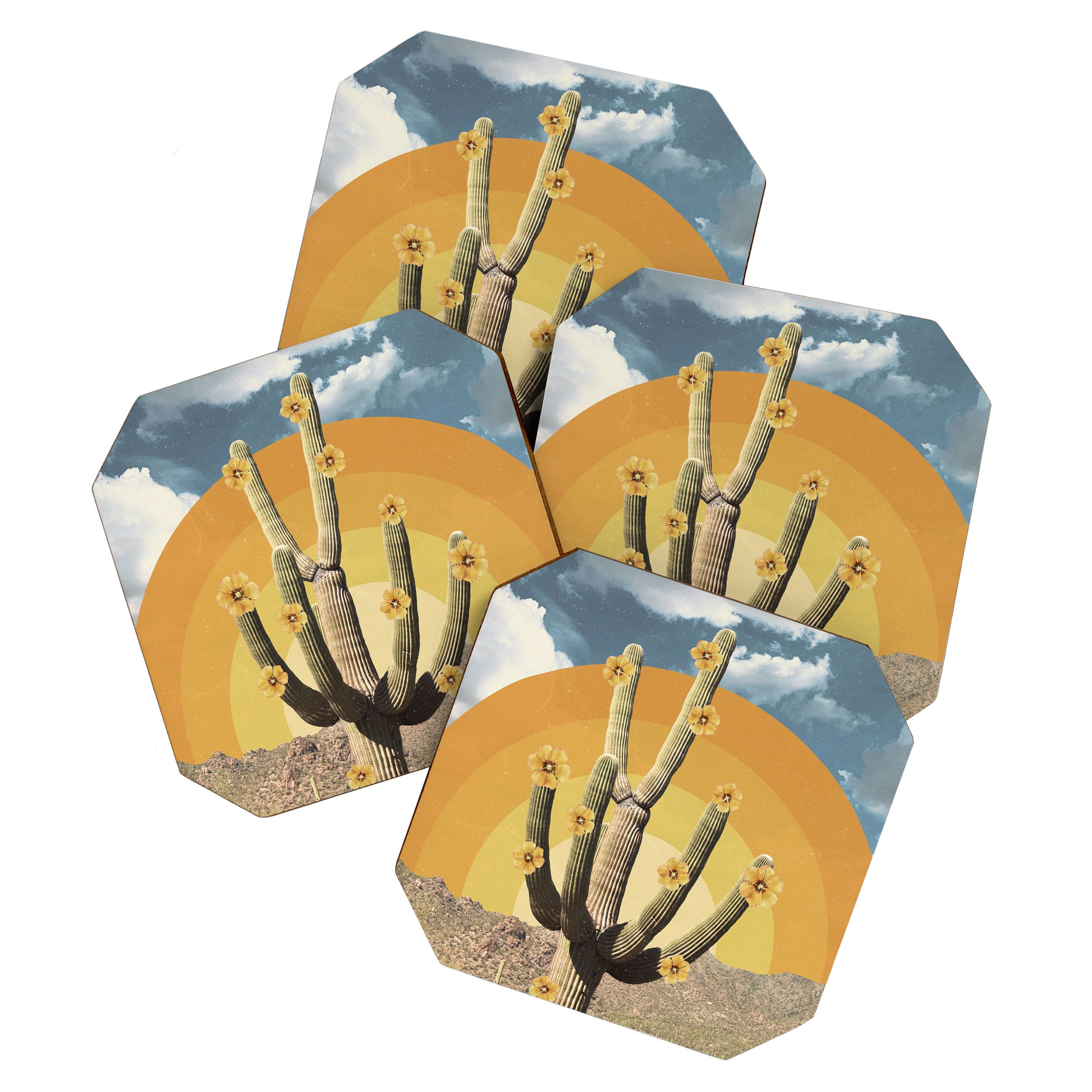 Flower of Desert Coaster Gallery Image 1