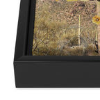 Flower of Desert Framed Canvas Print Gallery Image 3