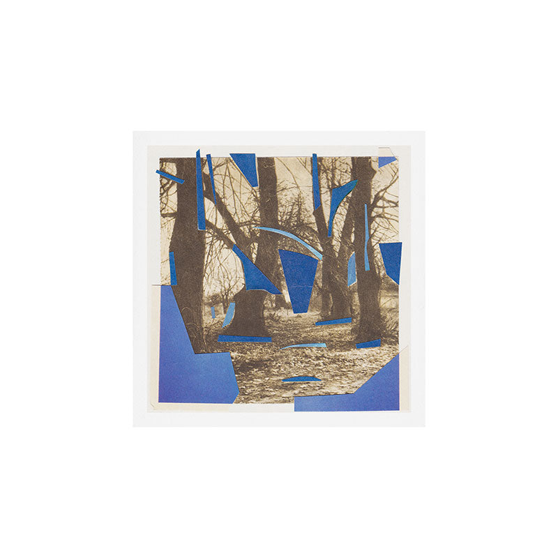 Frost Fragments Art Print Gallery Image 1