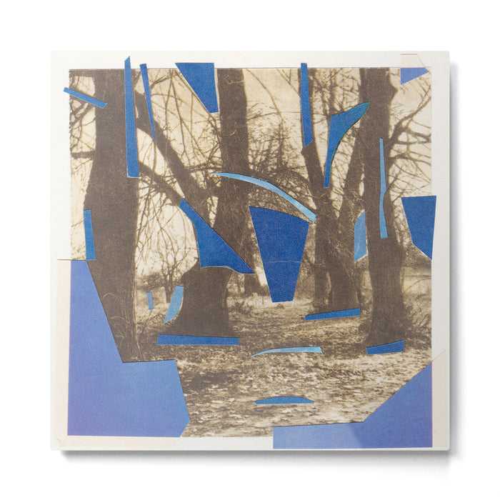 Frost Fragments Metal Print Gallery Image 1