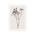 Gypsophila Portrait #1 Art Print Gallery Image 1