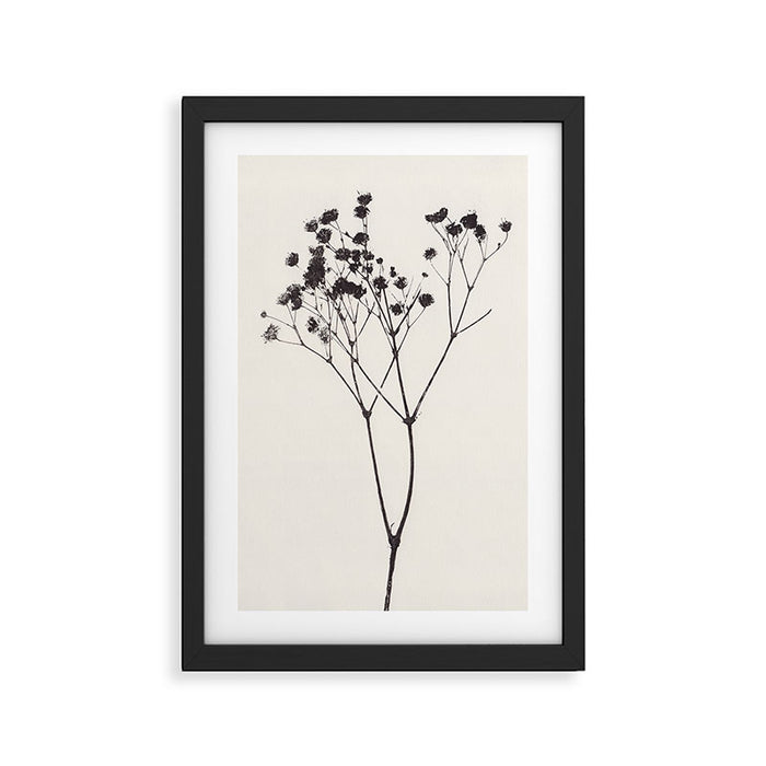 Gypsophila Portrait #1 Framed Art Print Gallery Image 1
