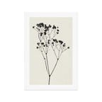 Gypsophila Portrait #2 Art Print Gallery Image 1