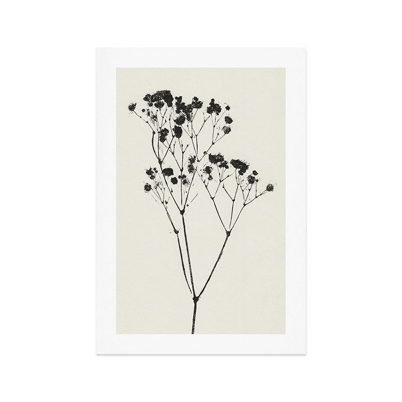 Gypsophila Portrait #2 Art Print Gallery Image 1