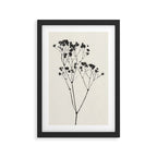 Gypsophila Portrait #2 Framed Art Print Gallery Image 2