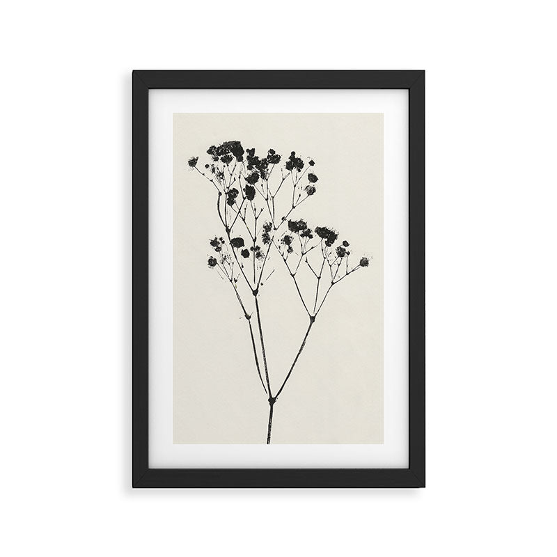 Gypsophila Portrait #2 Framed Art Print Gallery Image 2