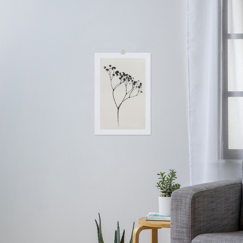 Gypsophila Portrait #3 Art Print Gallery Image 3