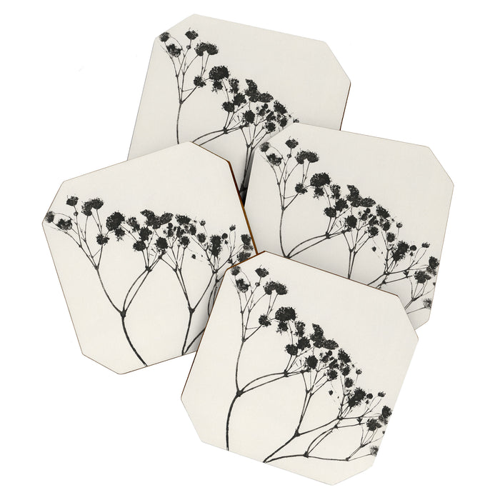 Gypsophila Portrait #3 Coaster Gallery Image 1