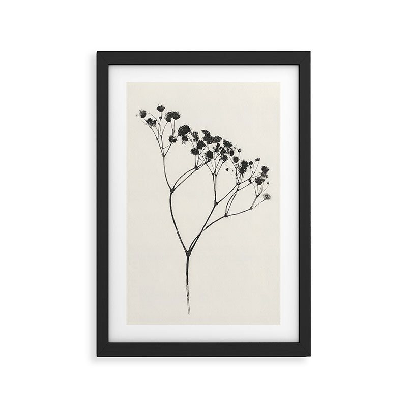 Gypsophila Portrait #3 Framed Art Print Gallery Image 2