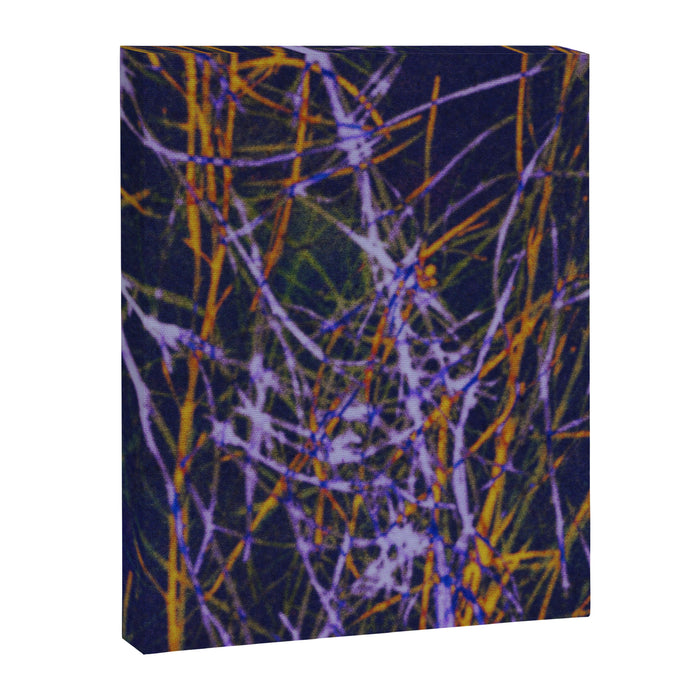 Hypernature 1 Canvas Print Gallery Image 1