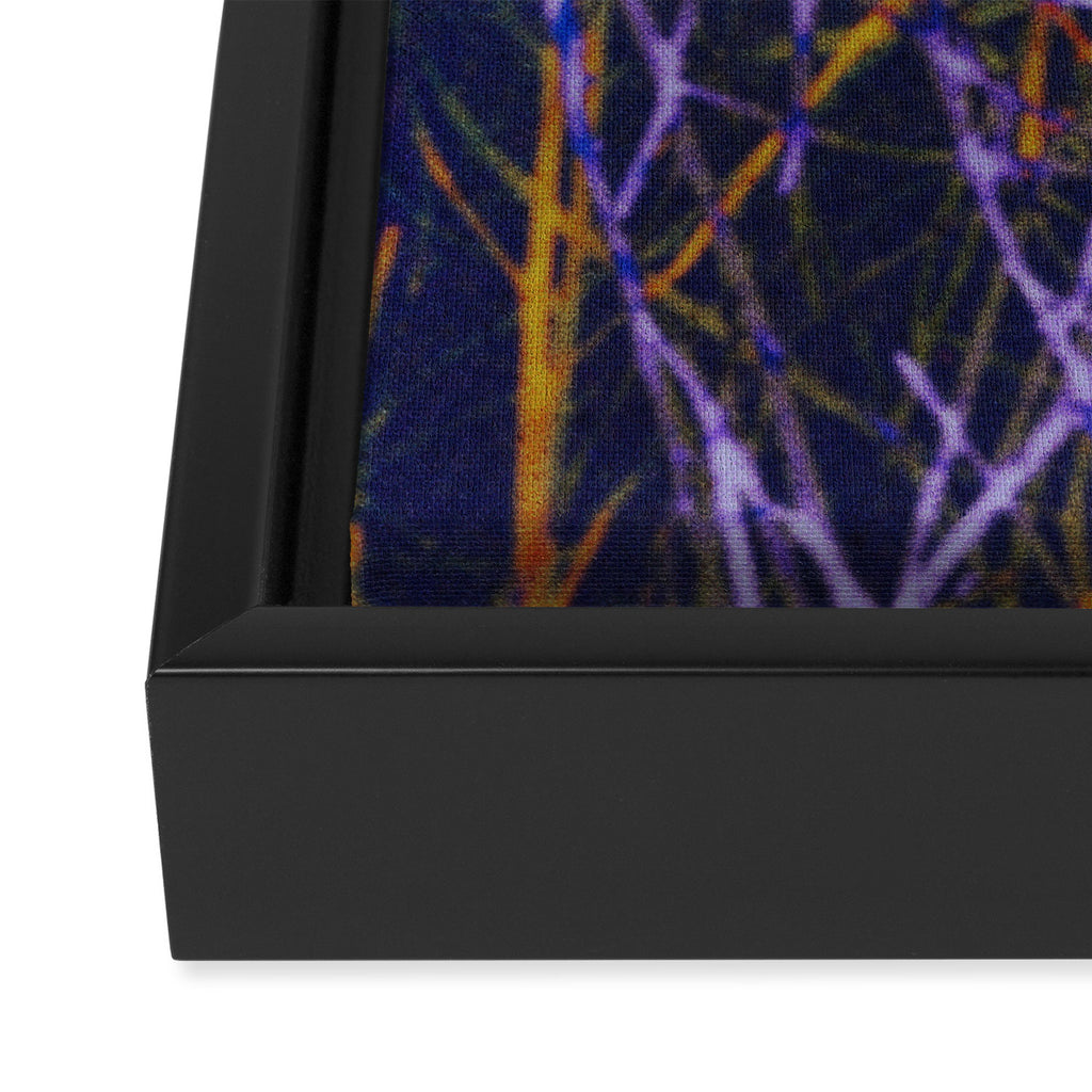 Hypernature 1 Framed Canvas Print Gallery Image 3