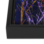 Hypernature 1 Framed Canvas Print Gallery Image 3