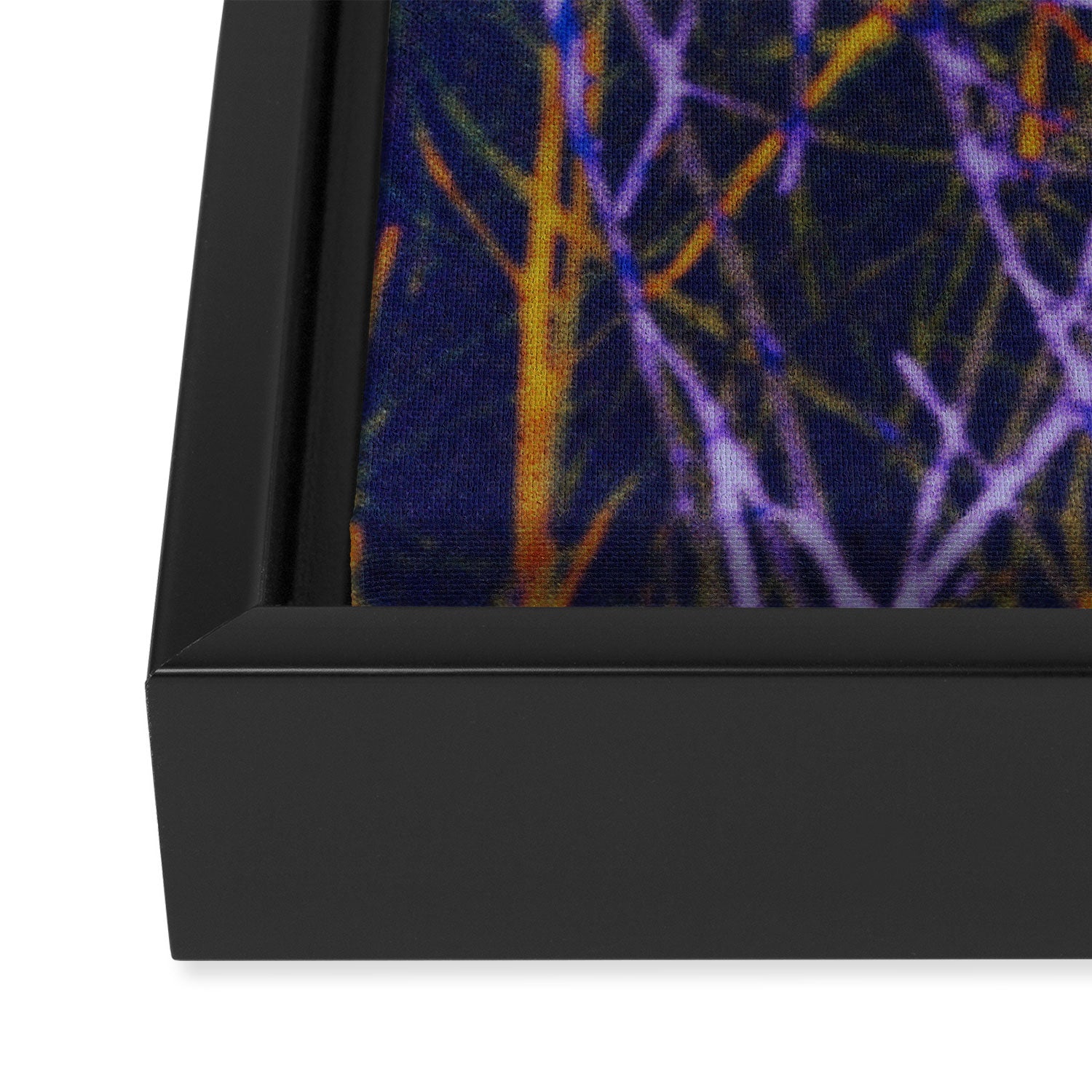 Hypernature 1 Framed Canvas Print Gallery Image 3