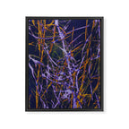 Hypernature 1 Framed Canvas Print Gallery Image 6