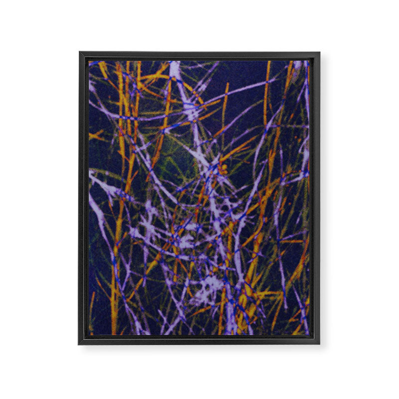 Hypernature 1 Framed Canvas Print Gallery Image 6
