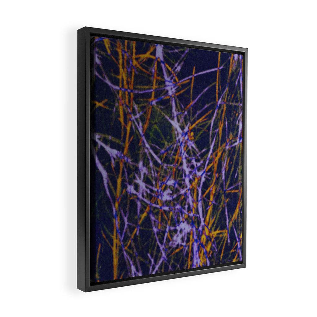 Hypernature 1 Framed Canvas Print Gallery Image 2