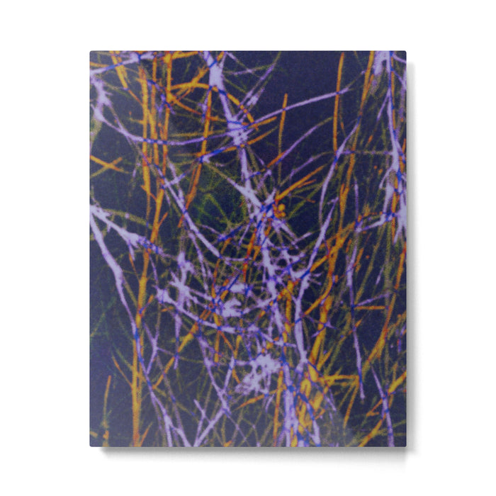 Hypernature 1 Metal Print Gallery Image 1