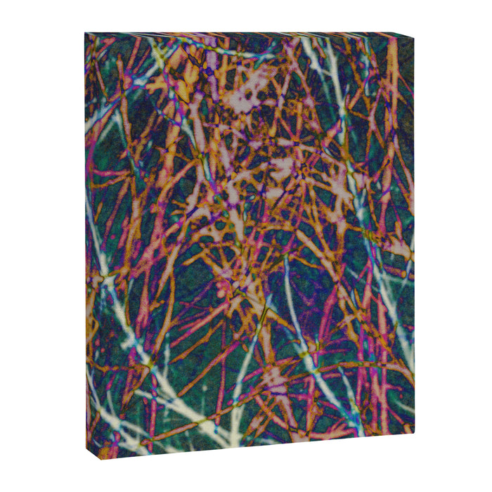 Hypernature 2 Canvas Print Gallery Image 1