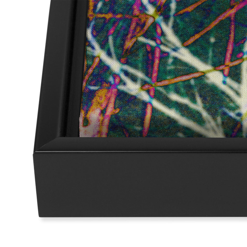 Hypernature 2 Framed Canvas Print Gallery Image 3