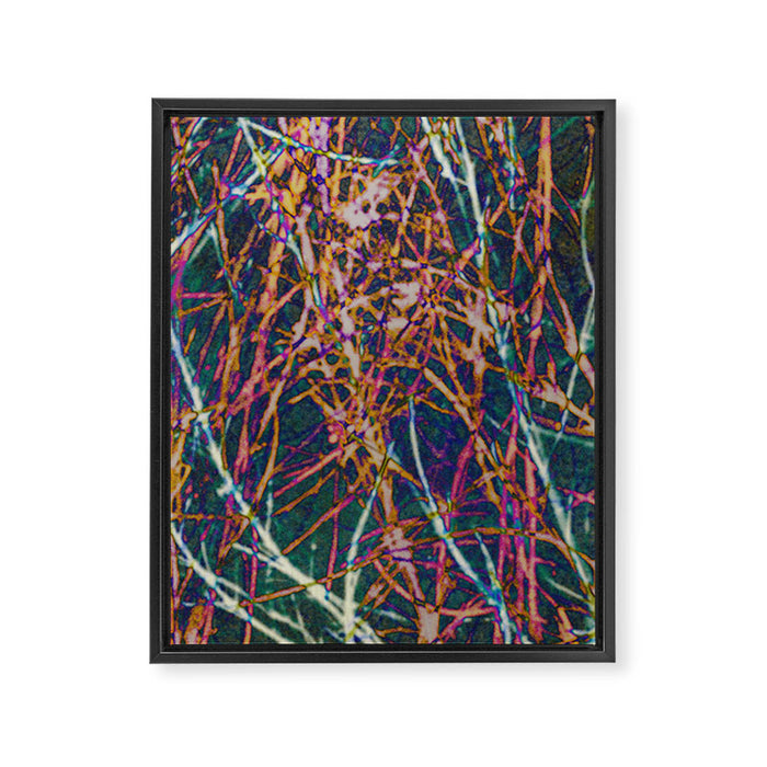 Hypernature 2 Framed Canvas Print Gallery Image 1