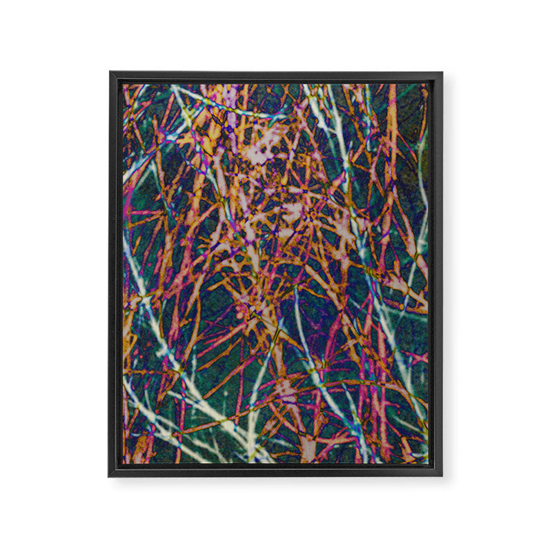 Hypernature 2 Framed Canvas Print Gallery Image 6