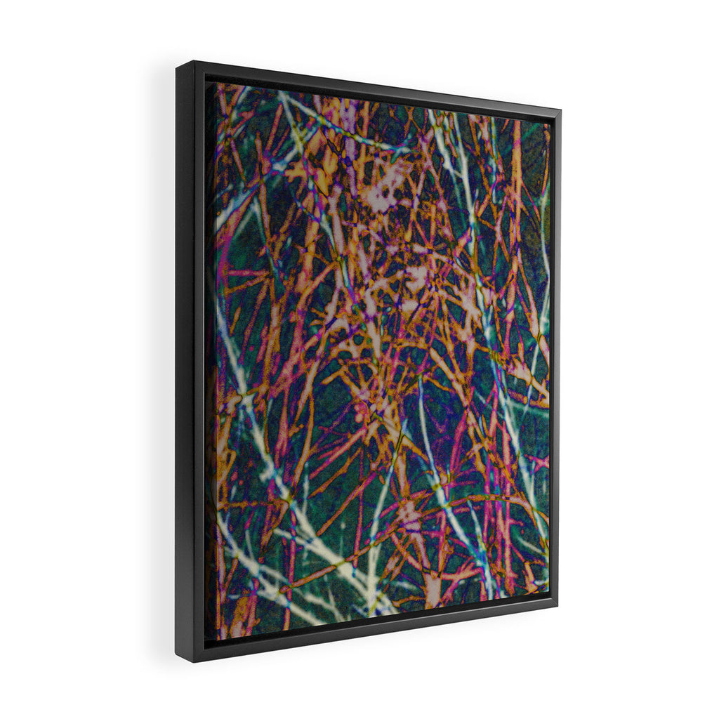 Hypernature 2 Framed Canvas Print Gallery Image 2