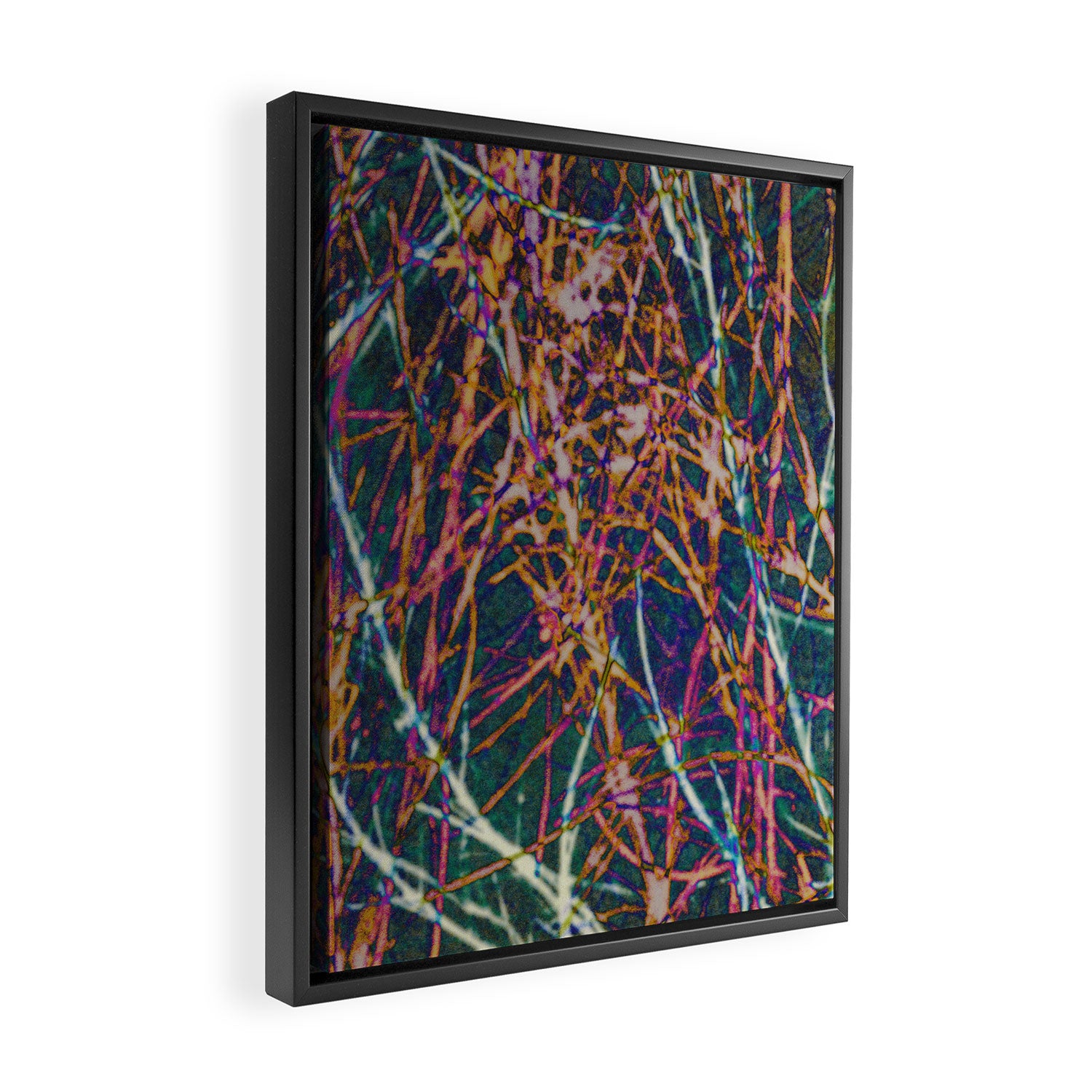 Hypernature 2 Framed Canvas Print Gallery Image 2
