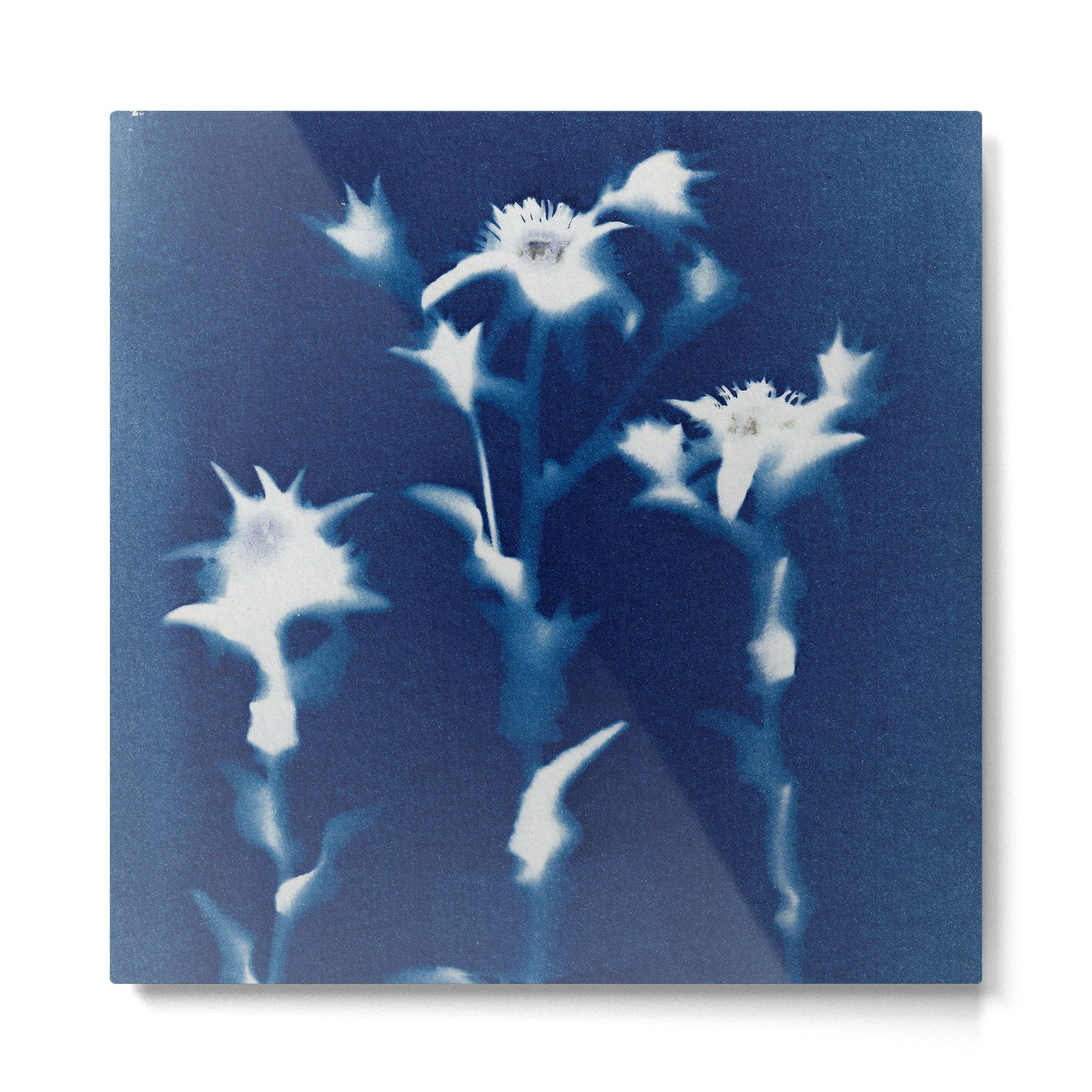 Magic in the Ordinary #1 Metal Print Gallery Image 2