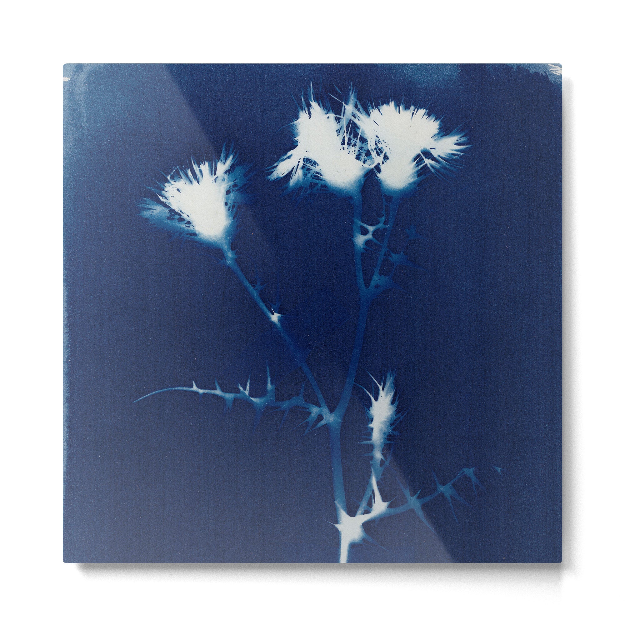 Magic in the Ordinary #2 Metal Print Gallery Image 2