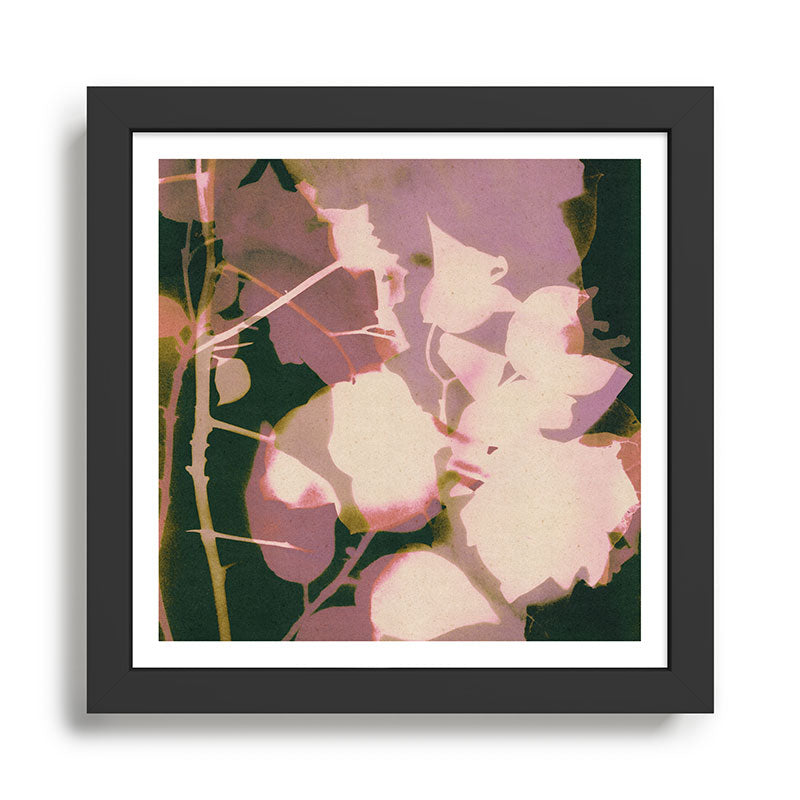 Magic in the Ordinary #6 Framed Art Print Gallery Image 1