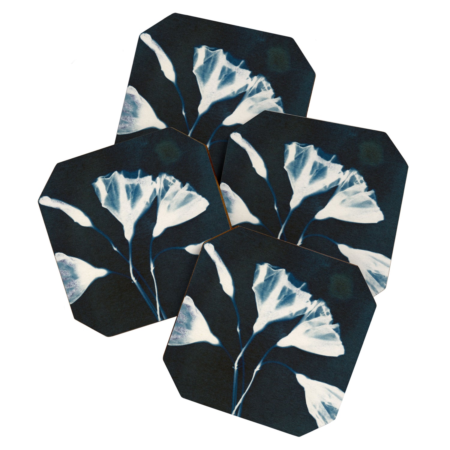 Magic in the Ordinary 8 - Dark Coaster Gallery Image 1