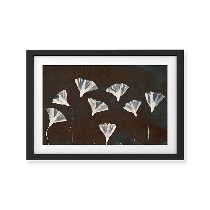 Magic in the Ordinary #9 / Dark Framed Art Print Gallery Image 2