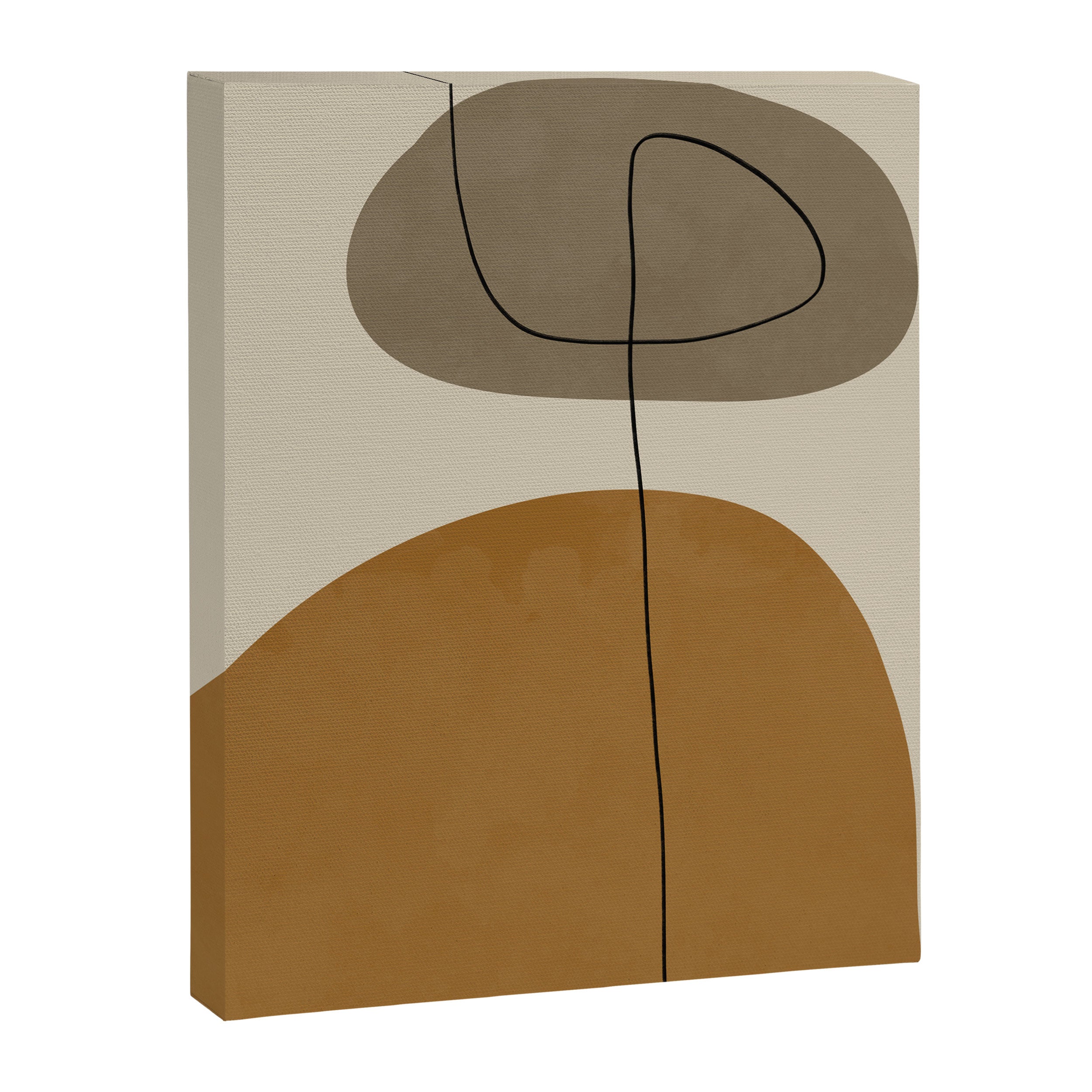 Organic Abstract Shapes #2 Canvas Print Gallery Image 6