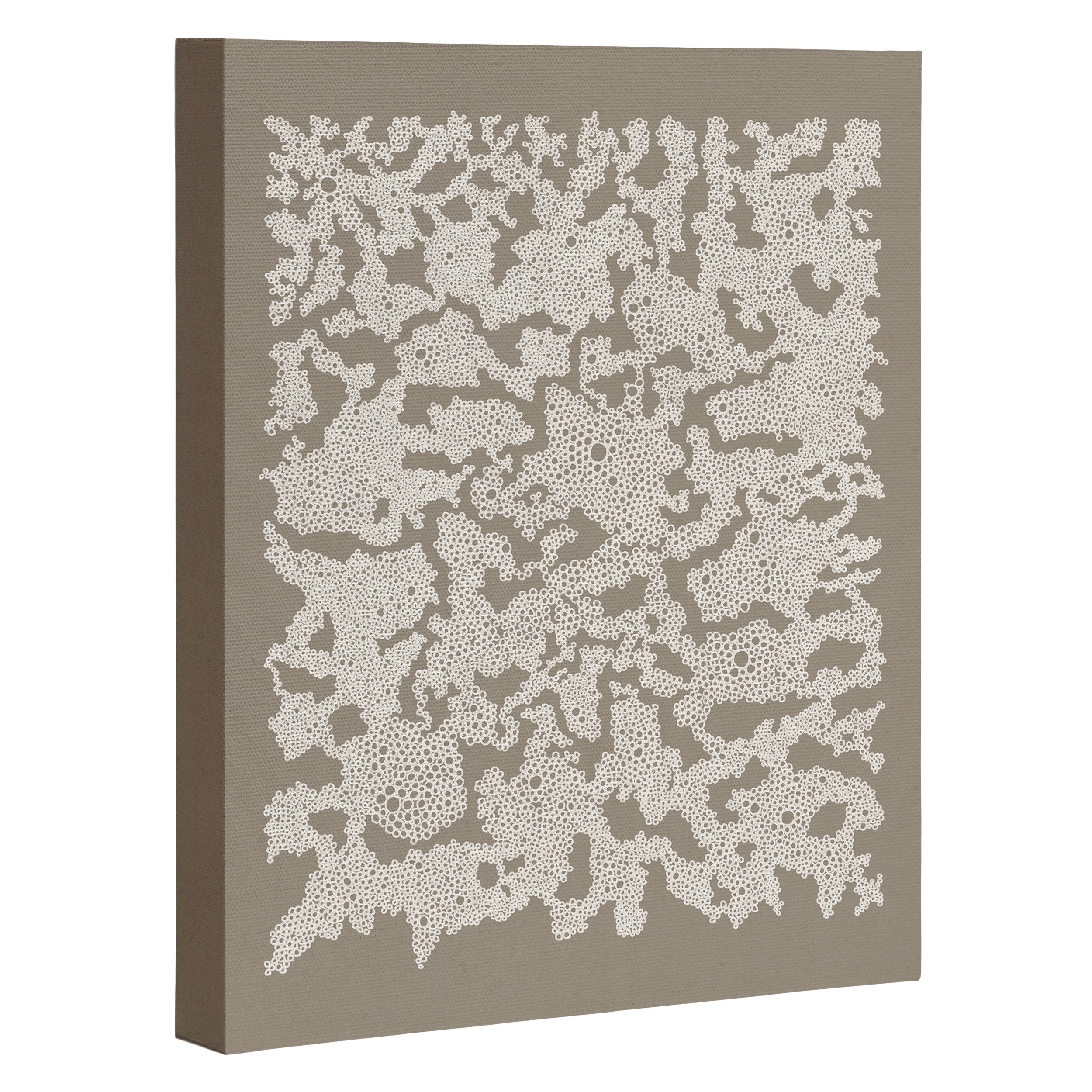 Organic Lace Canvas Print Gallery Image 3