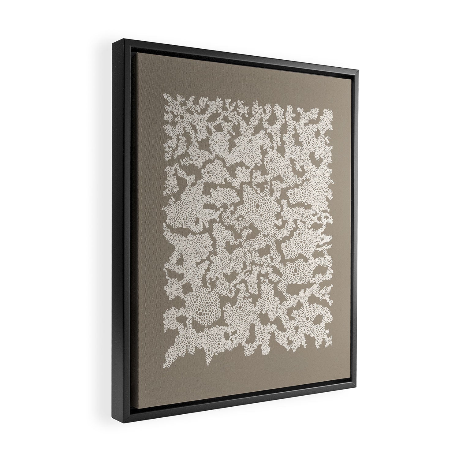 Organic Lace Framed Canvas Print Gallery Image 2