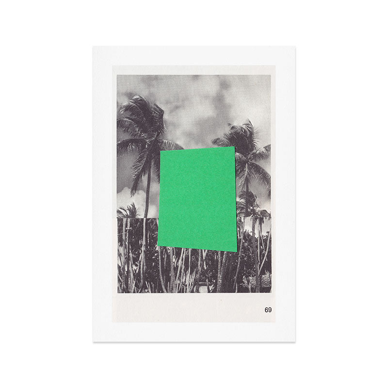 Page 69 / Palm Trees Art Print Gallery Image 1