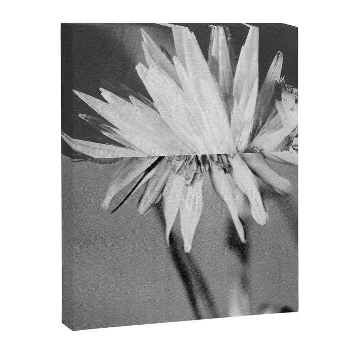 Paired Frames - Flower  Canvas Print Gallery Image 1