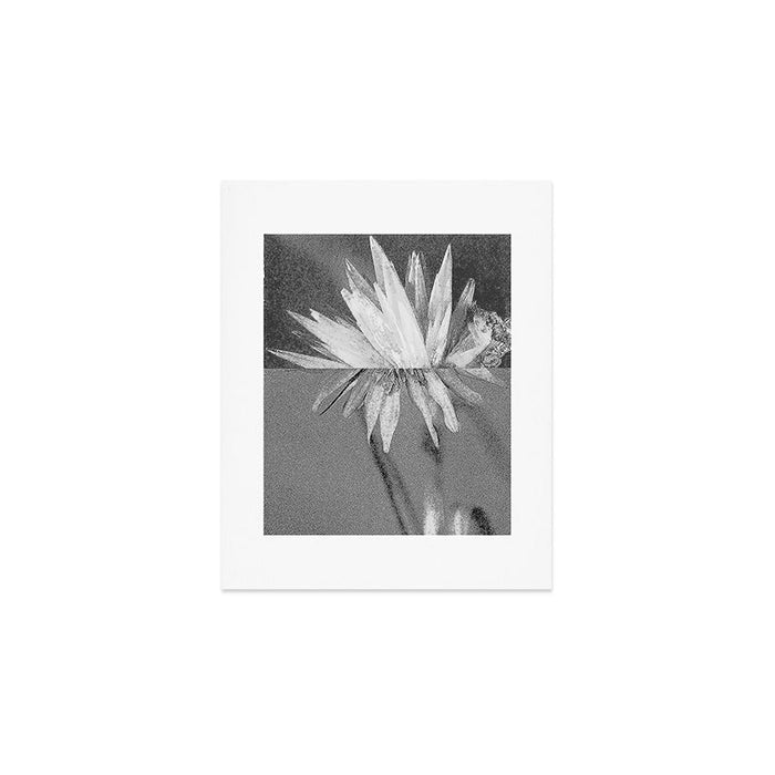 Paired Frames - Flower  Art Print Gallery Image 1