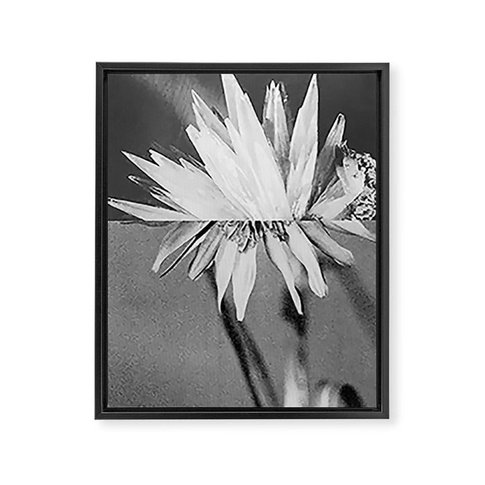 Paired Frames - Flower  Framed Canvas Print Gallery Image 1