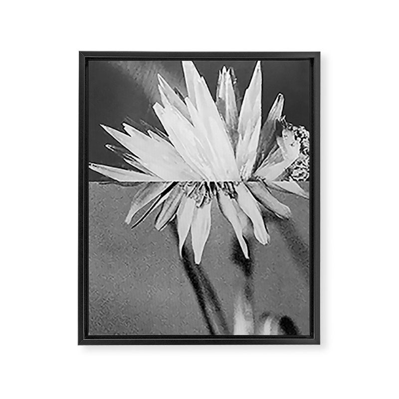 Paired Frames - Flower  Framed Canvas Print Gallery Image 6