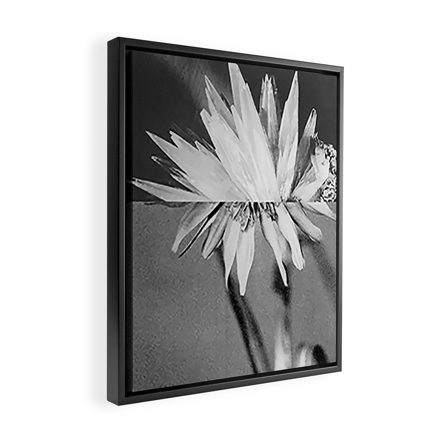 Paired Frames - Flower  Framed Canvas Print Gallery Image 2