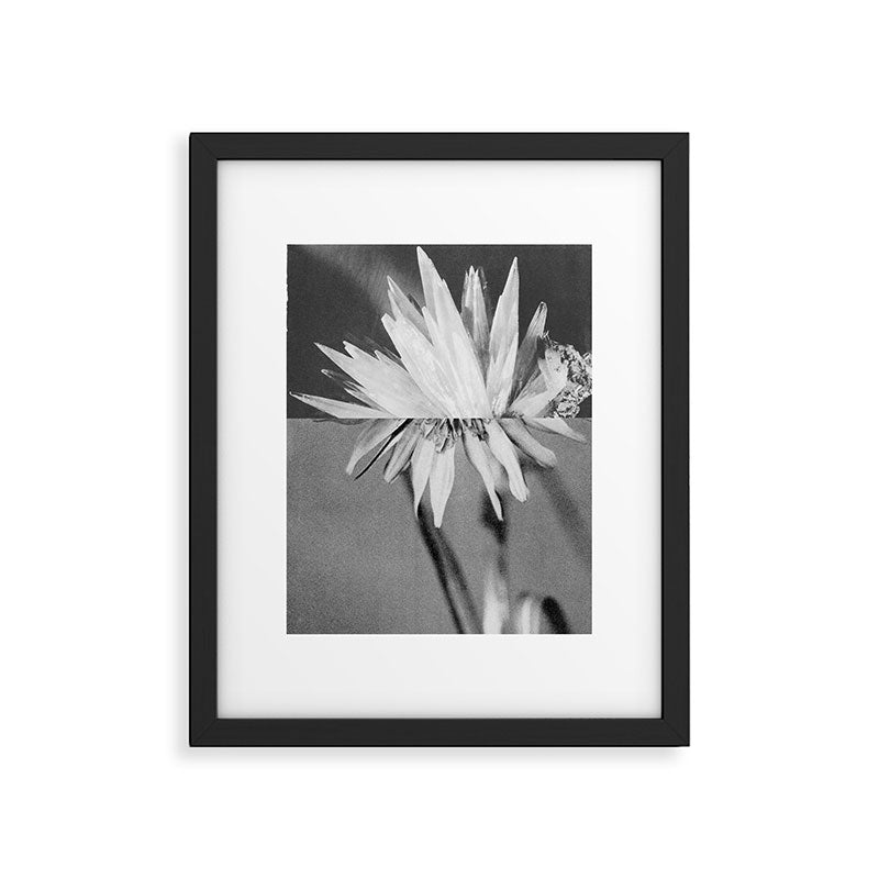 Paired Frames - Flower  Framed Art Print Gallery Image 5