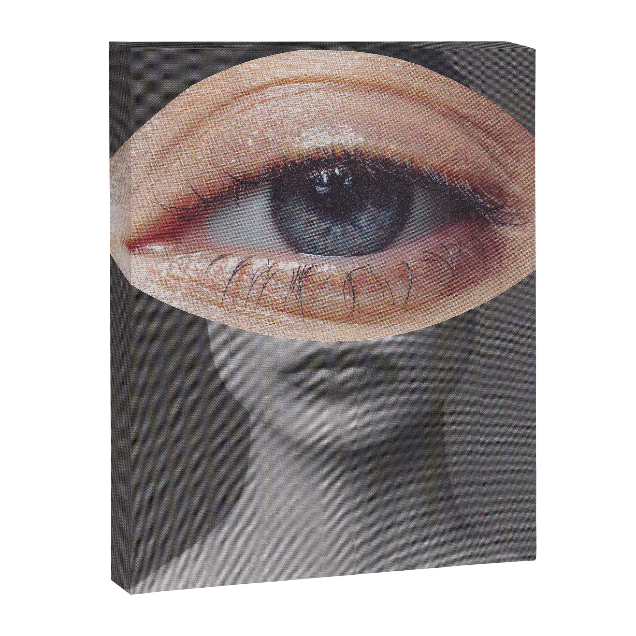 Passport Photo Canvas Print Gallery Image 6