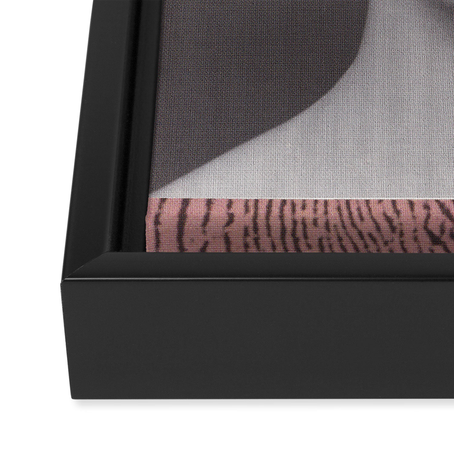 Passport Photo Framed Canvas Print Gallery Image 3