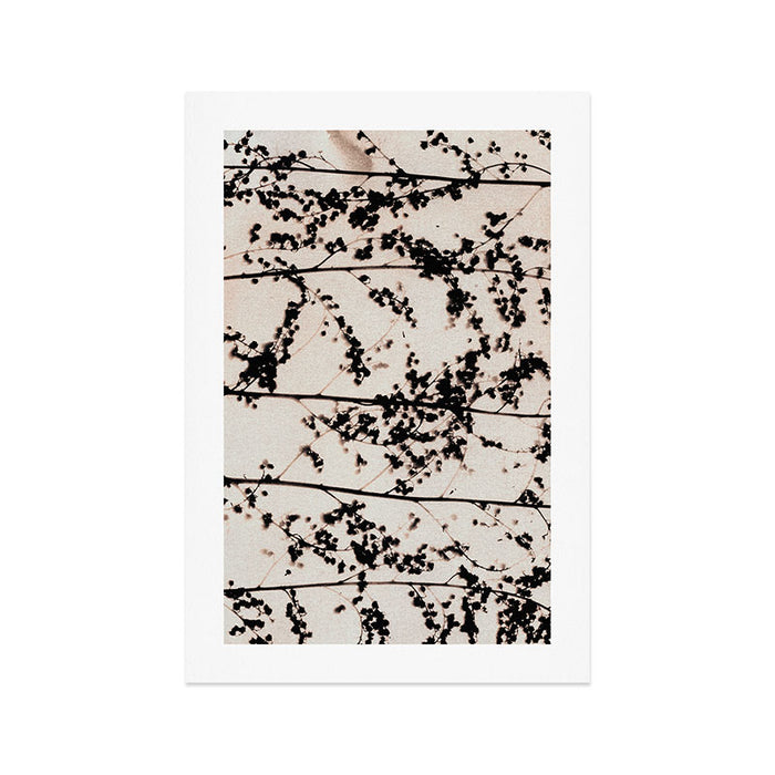 Patterns of Nature #2 Art Print Gallery Image 1
