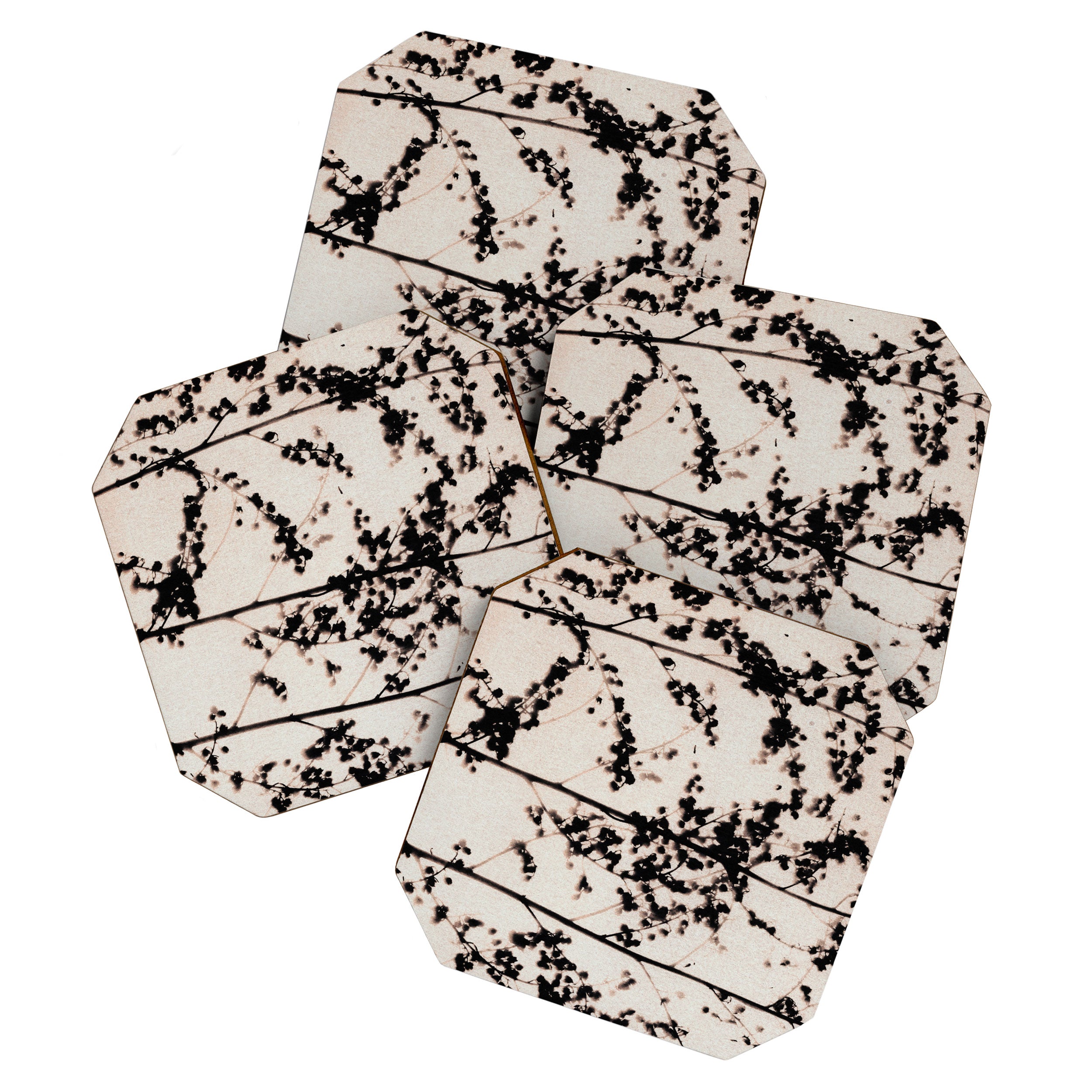 Patterns of Nature #2 Coaster Gallery Image 1