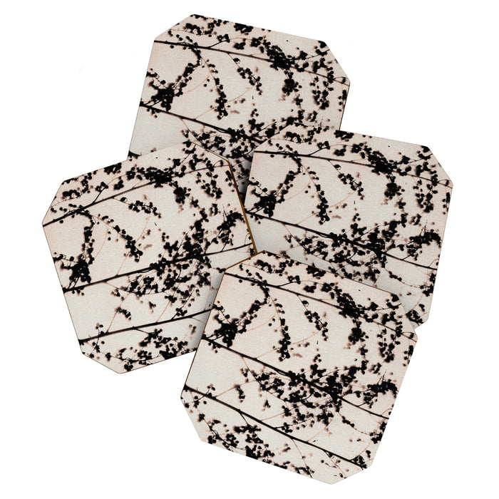 Patterns of Nature #2 Coaster Gallery Image 1