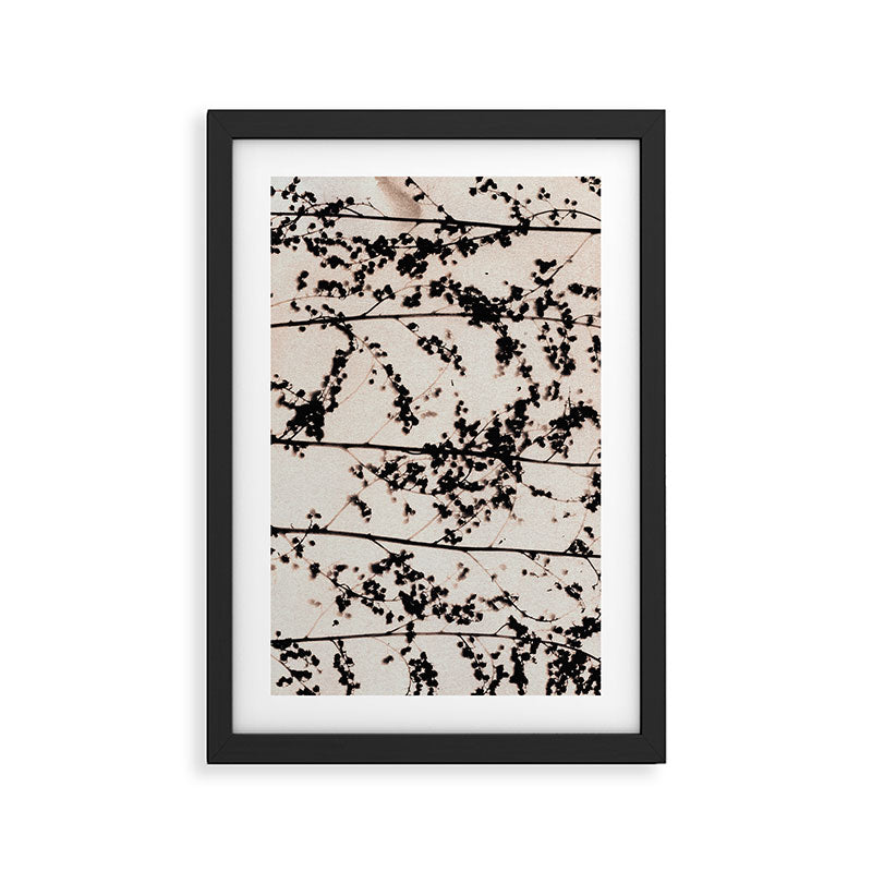 Patterns of Nature #2 Framed Art Print Gallery Image 2