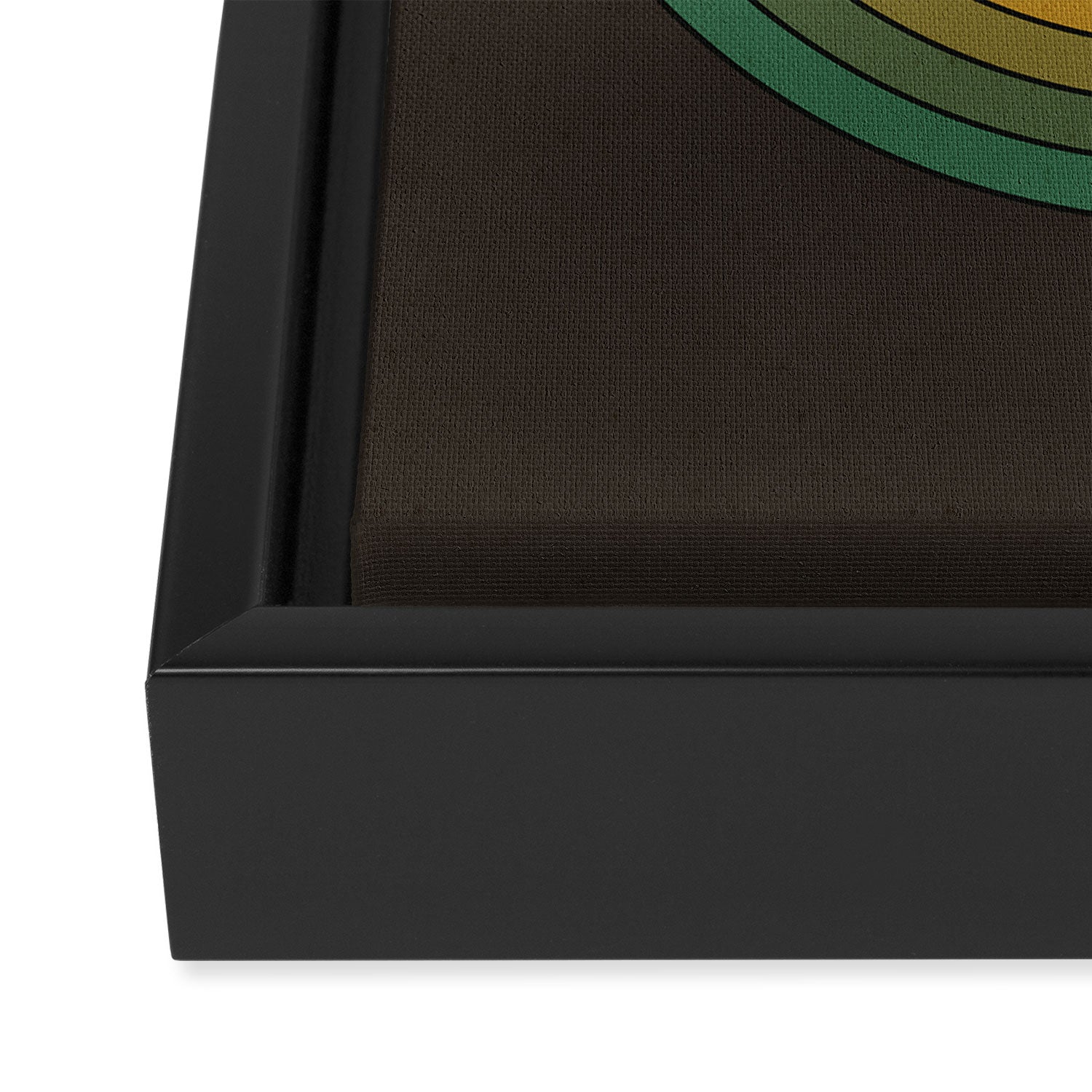 Rainbow Loop Framed Canvas Print Gallery Image 3